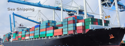 Sea Freight Cargo Service